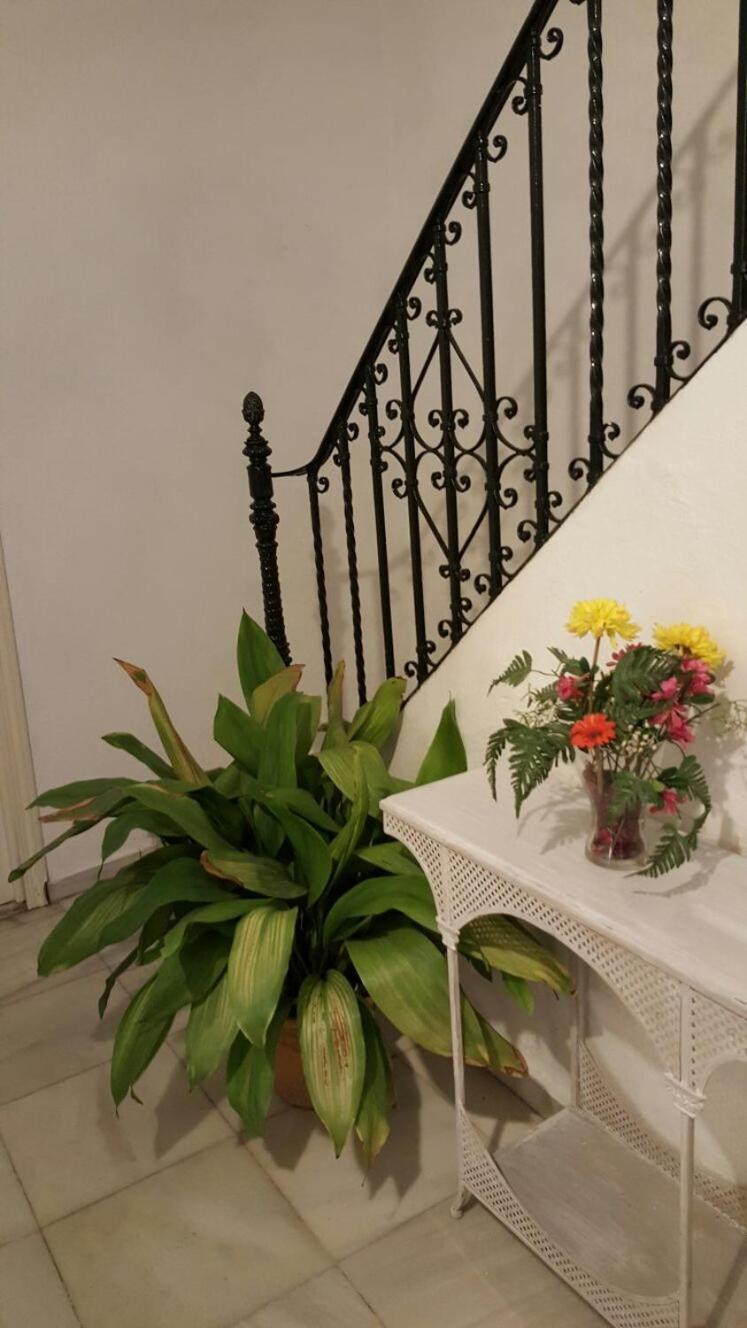 En El Corazon De Sevilla Экстерьер фото